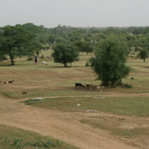 senegal-bild-18